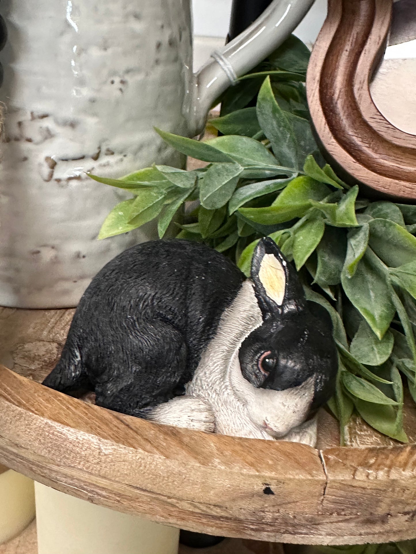 Black and white BUNNY