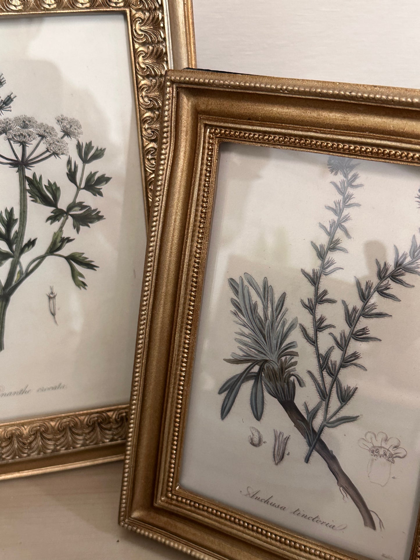 Gold frames With Floral Print