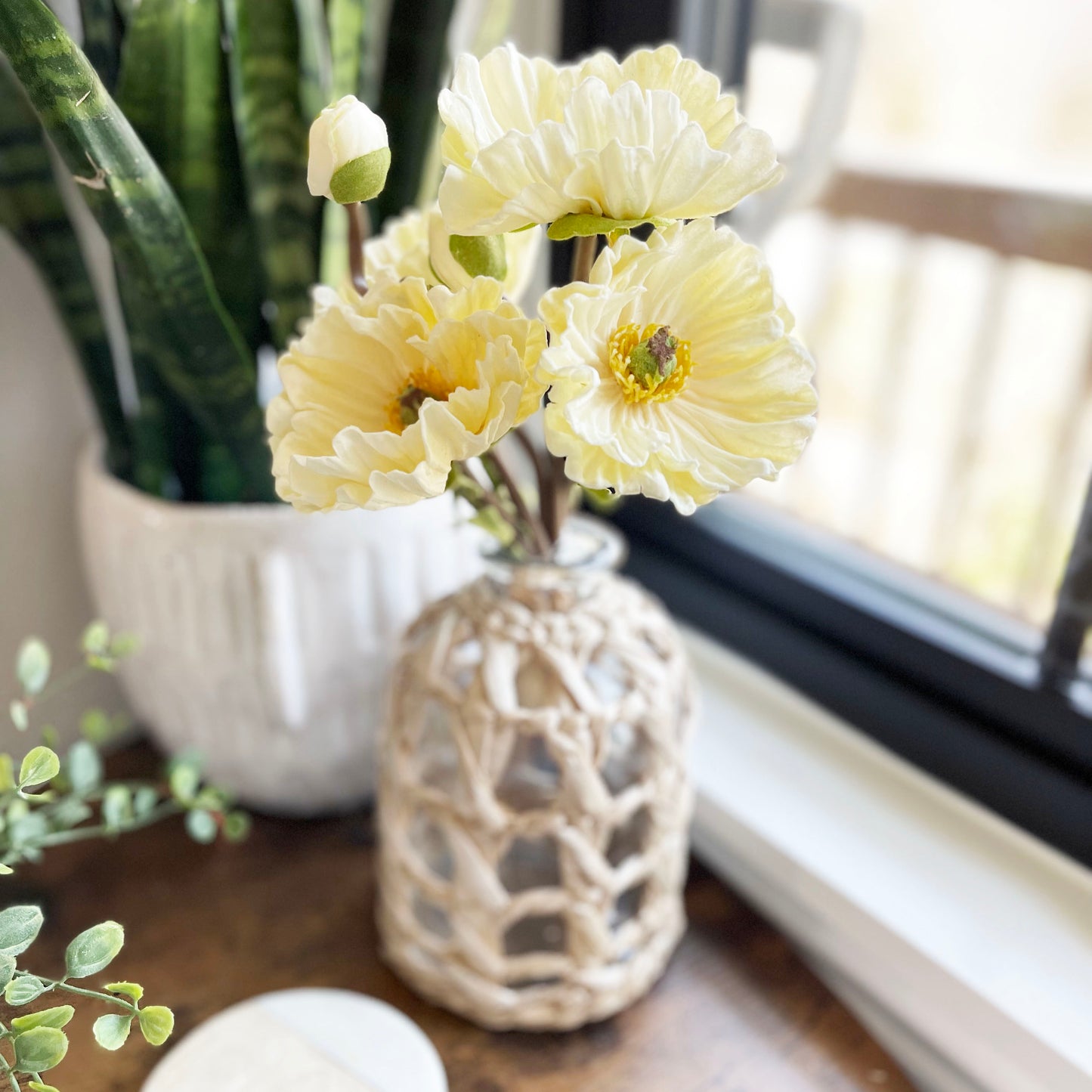 Cream Poppy Bundle - 13" Picks