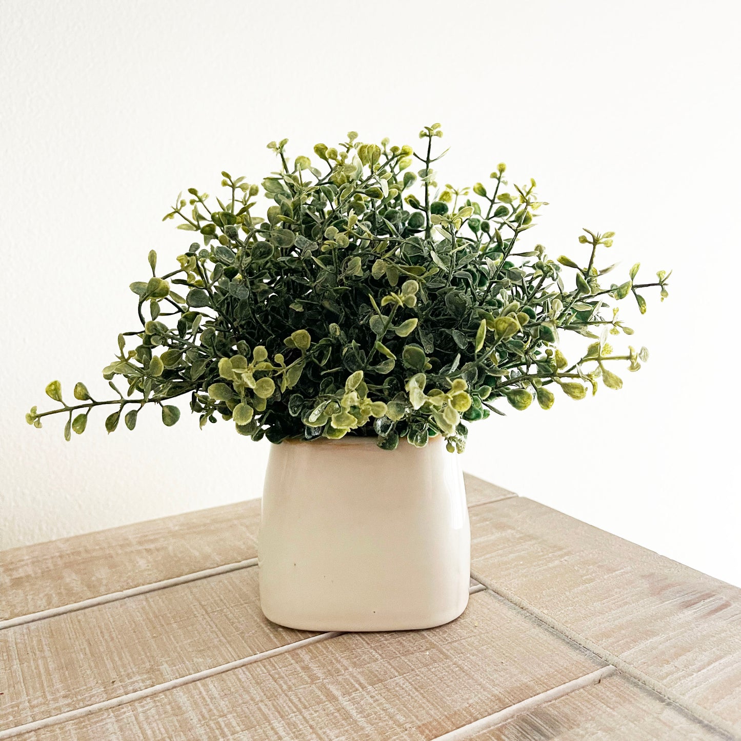 Small Ceramic Square Planter