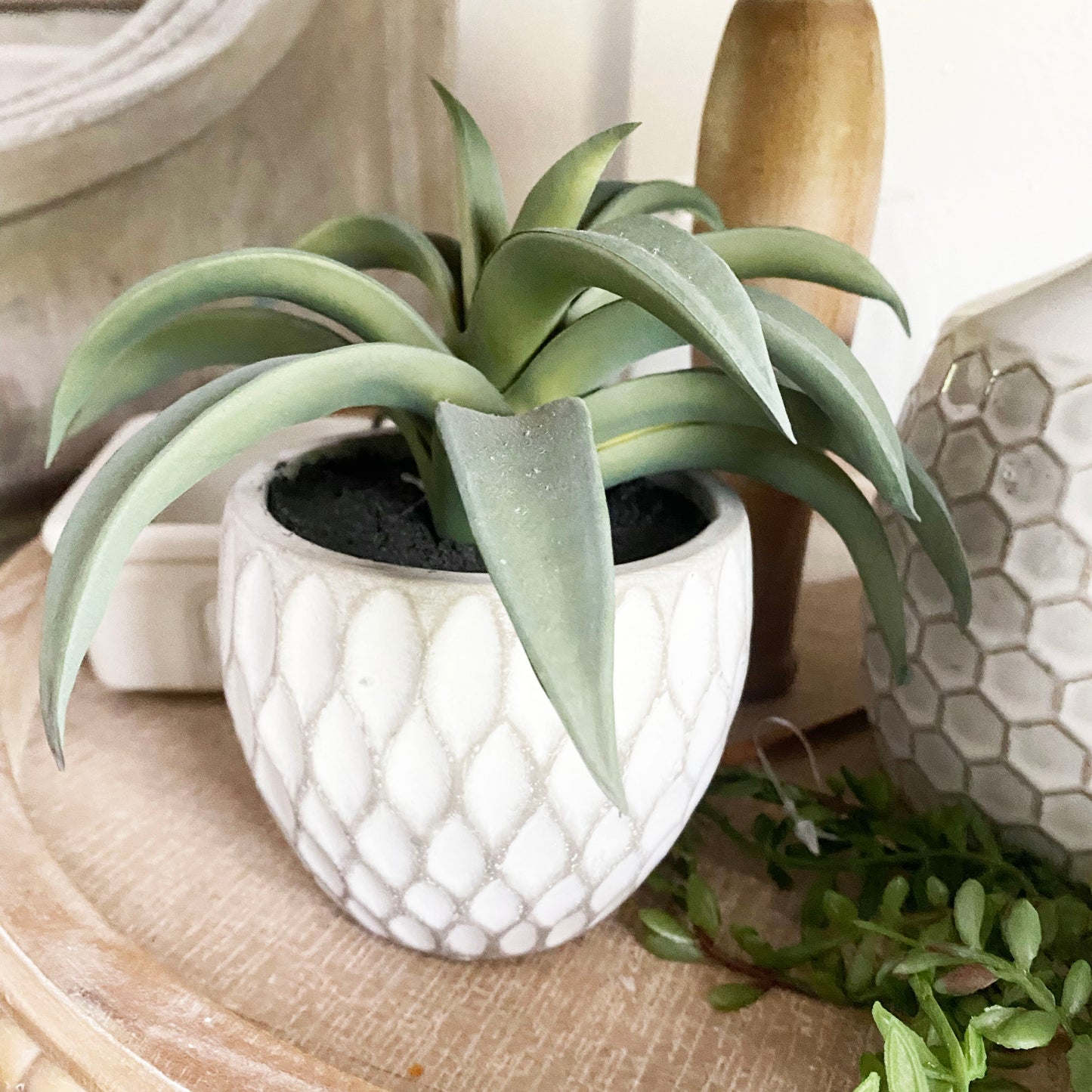 Faux Succulent In Pot - 3 Options