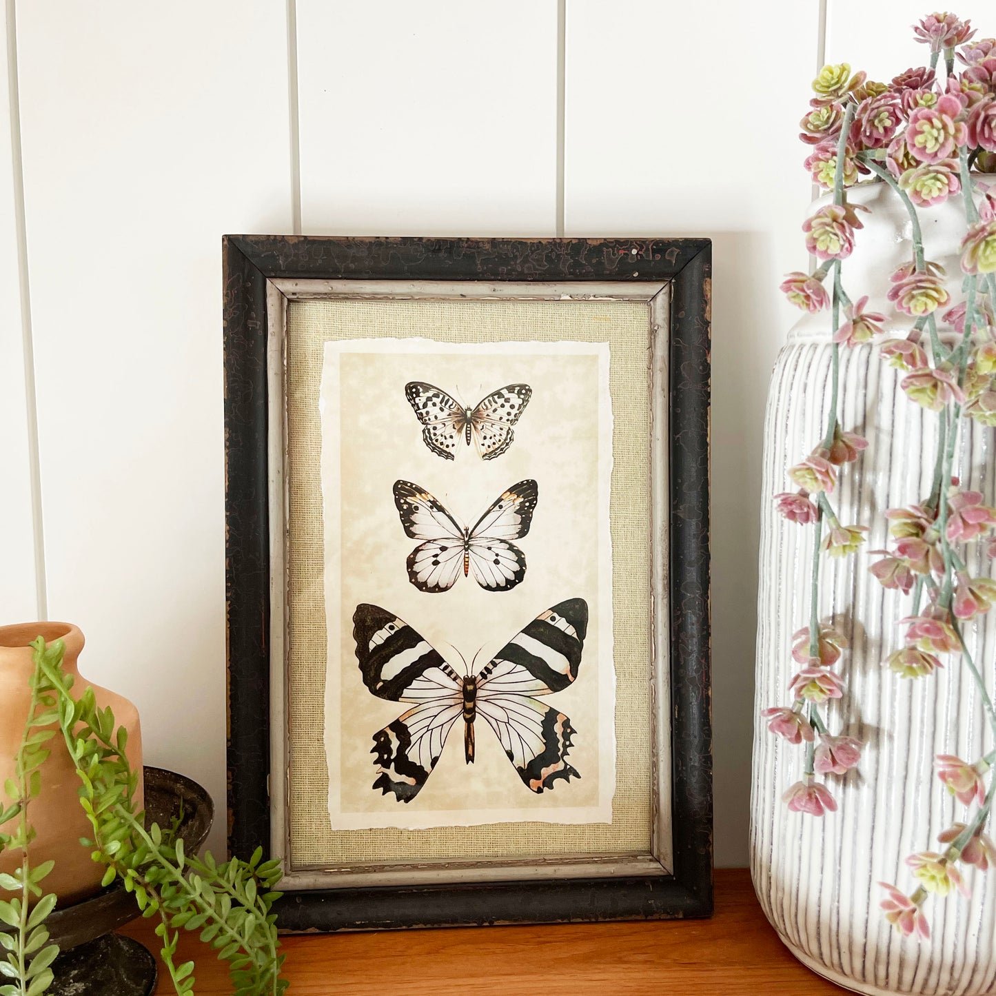 Insect Framed Print