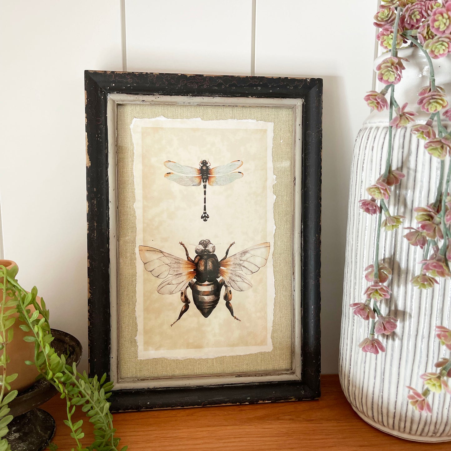Insect Framed Print