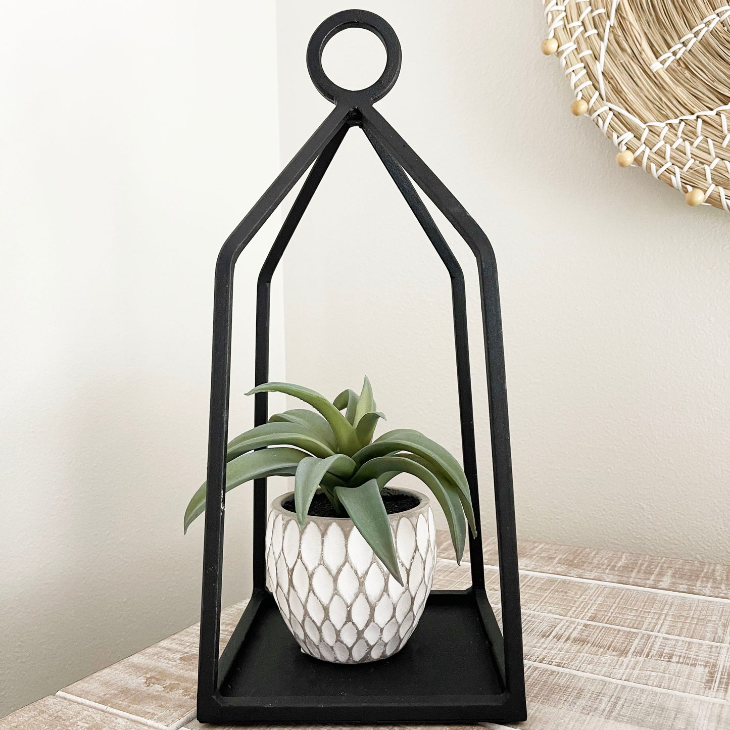 Faux Succulent In Pot - 3 Options