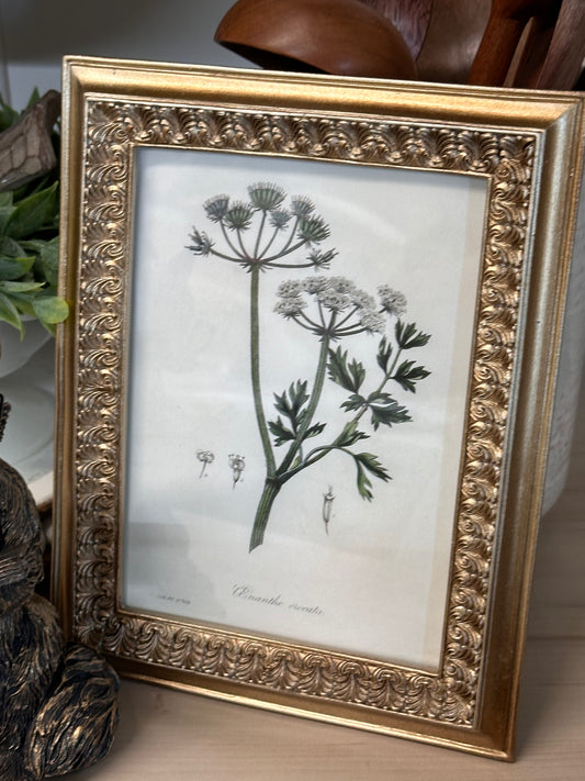 Vintage Inspired 5x7 Frame