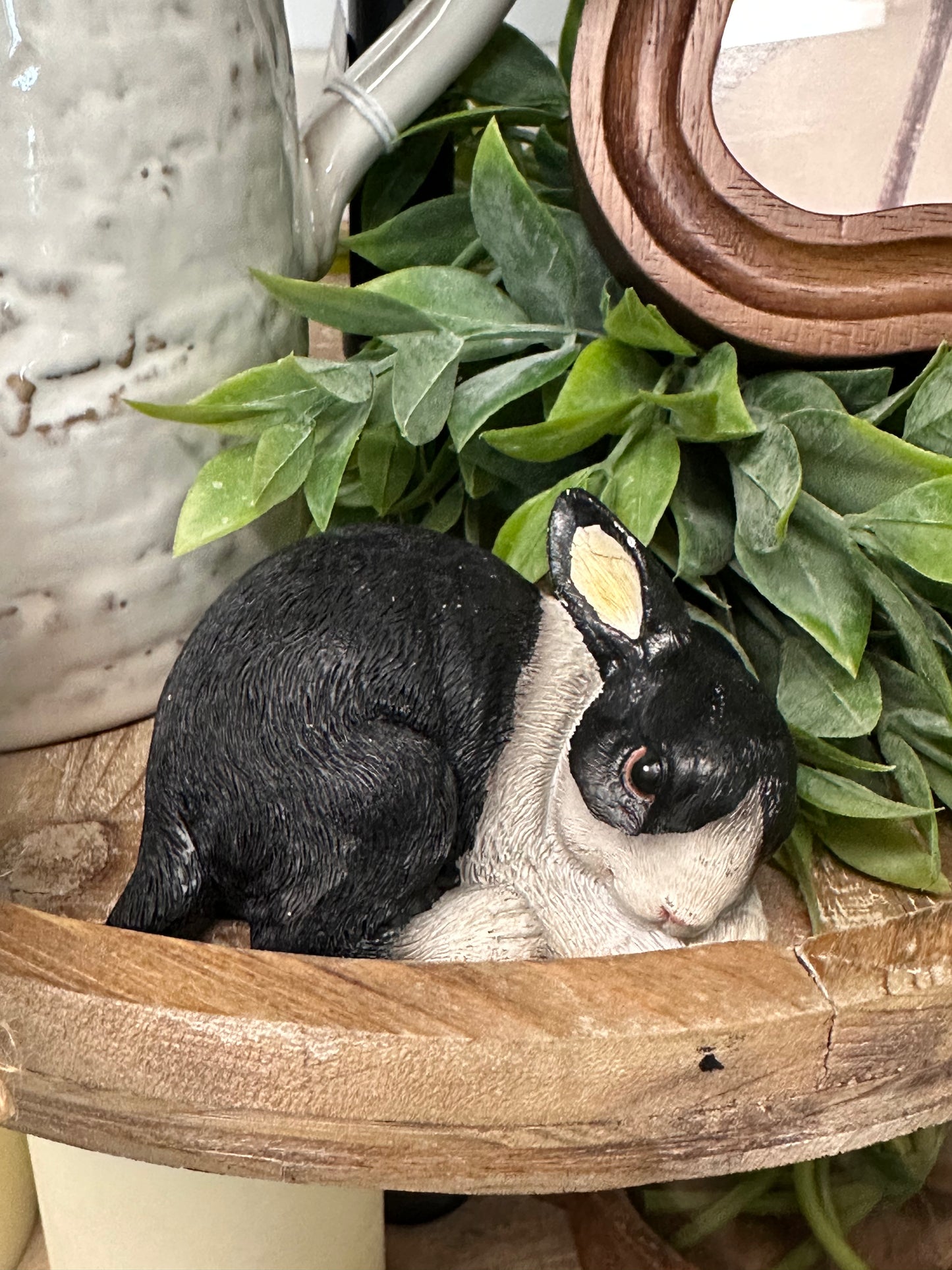 Black and white BUNNY