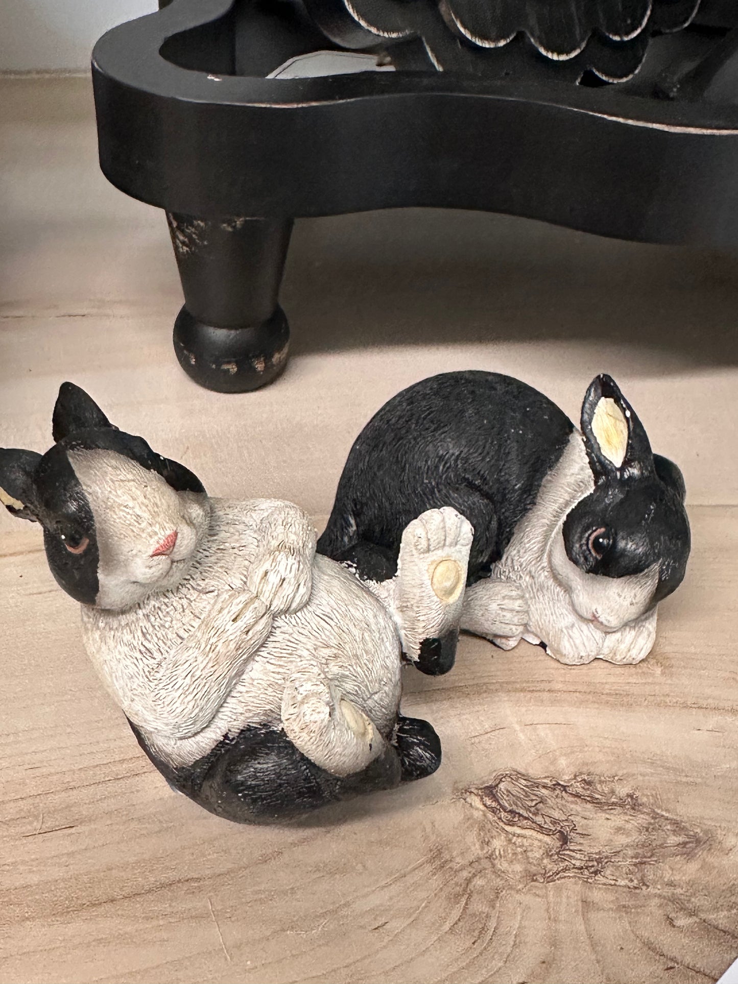 Black and white BUNNY