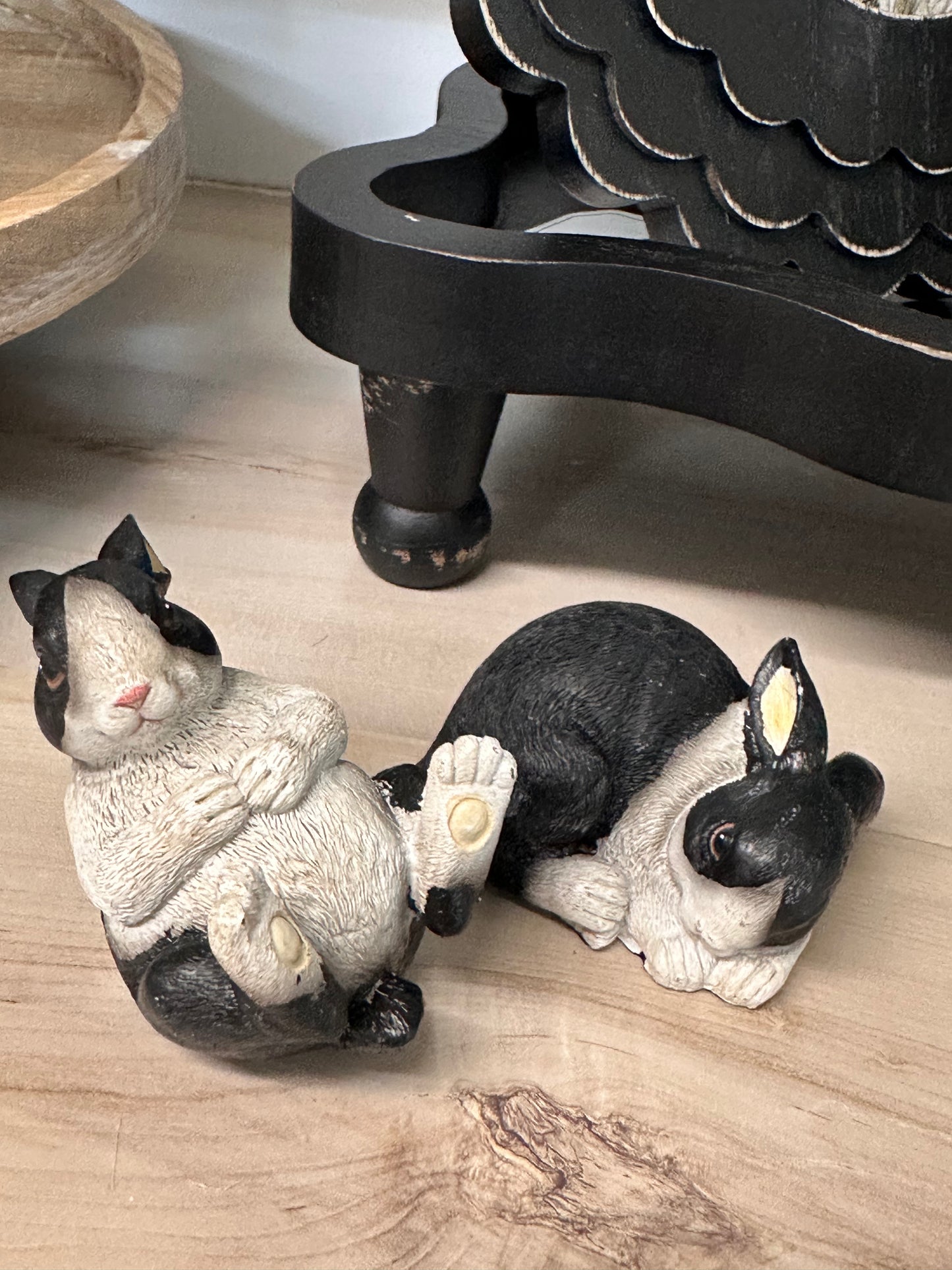 Black and white BUNNY