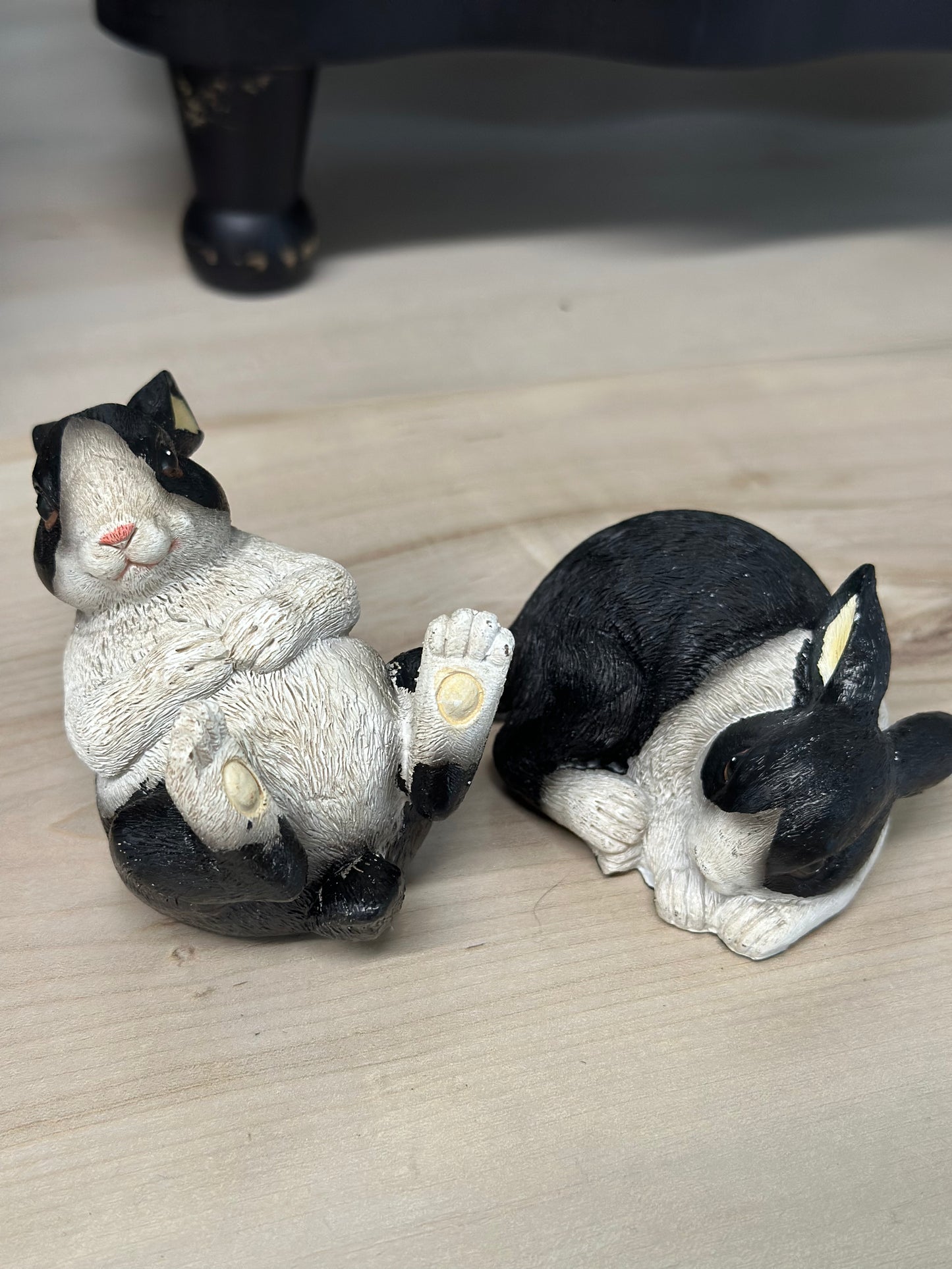 Black and white BUNNY