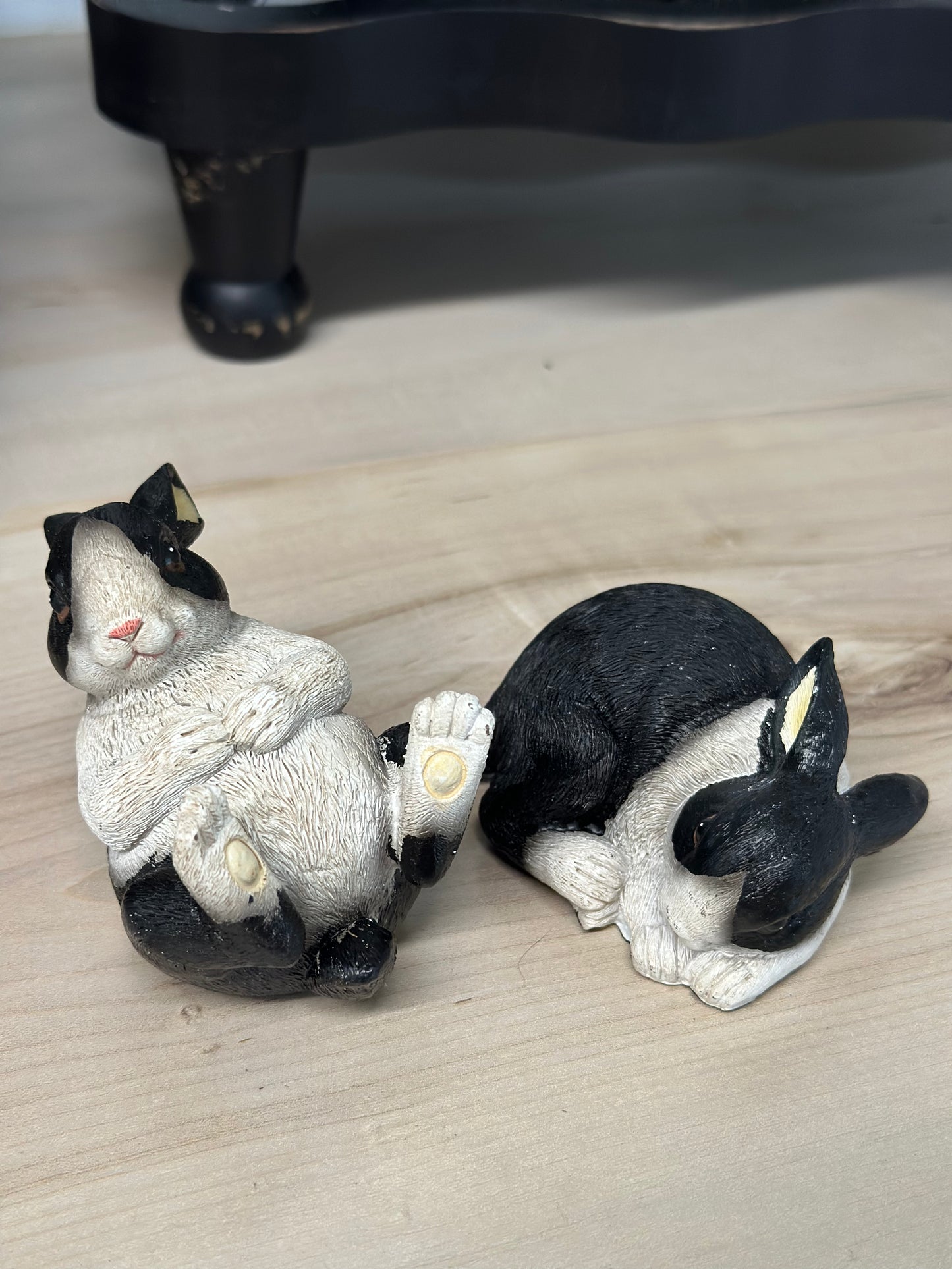 Black and white BUNNY