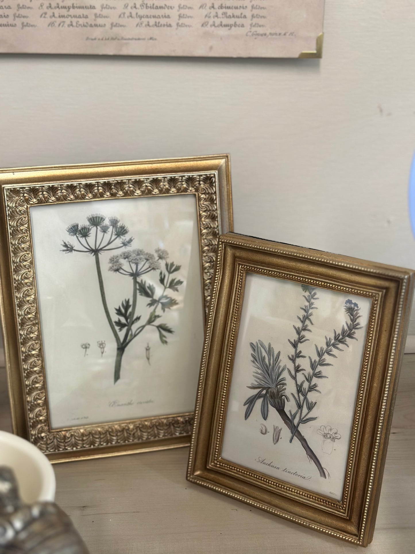 Gold frames With Floral Print