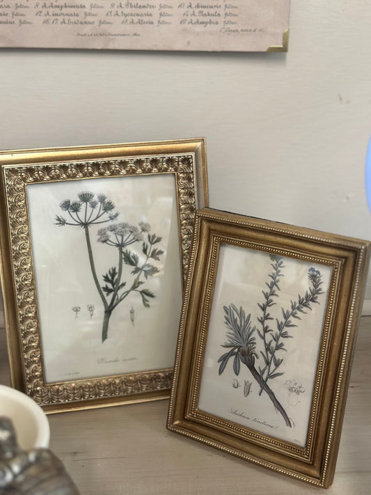 Gold frames With Floral Print
