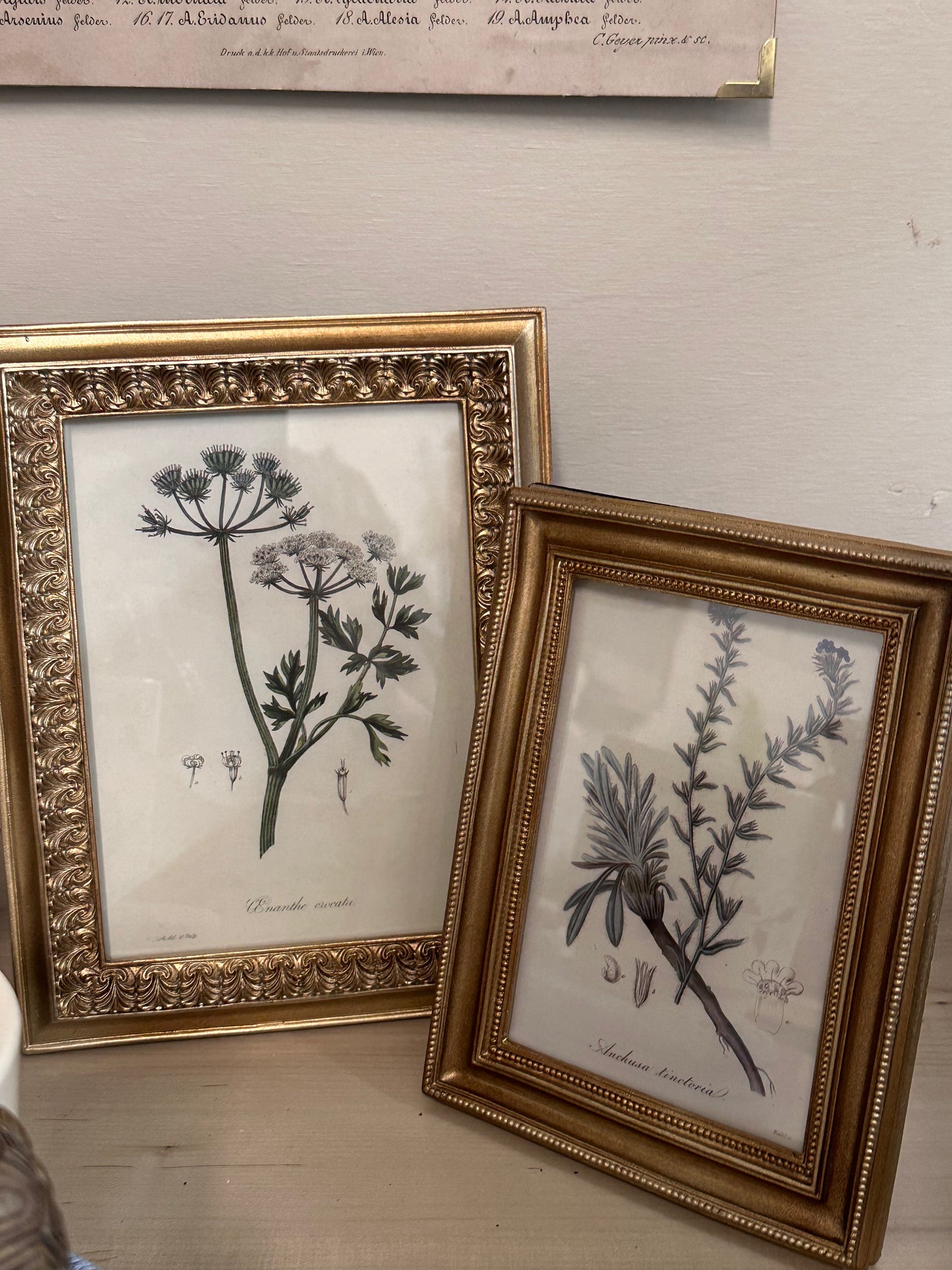 Gold frames With Floral Print