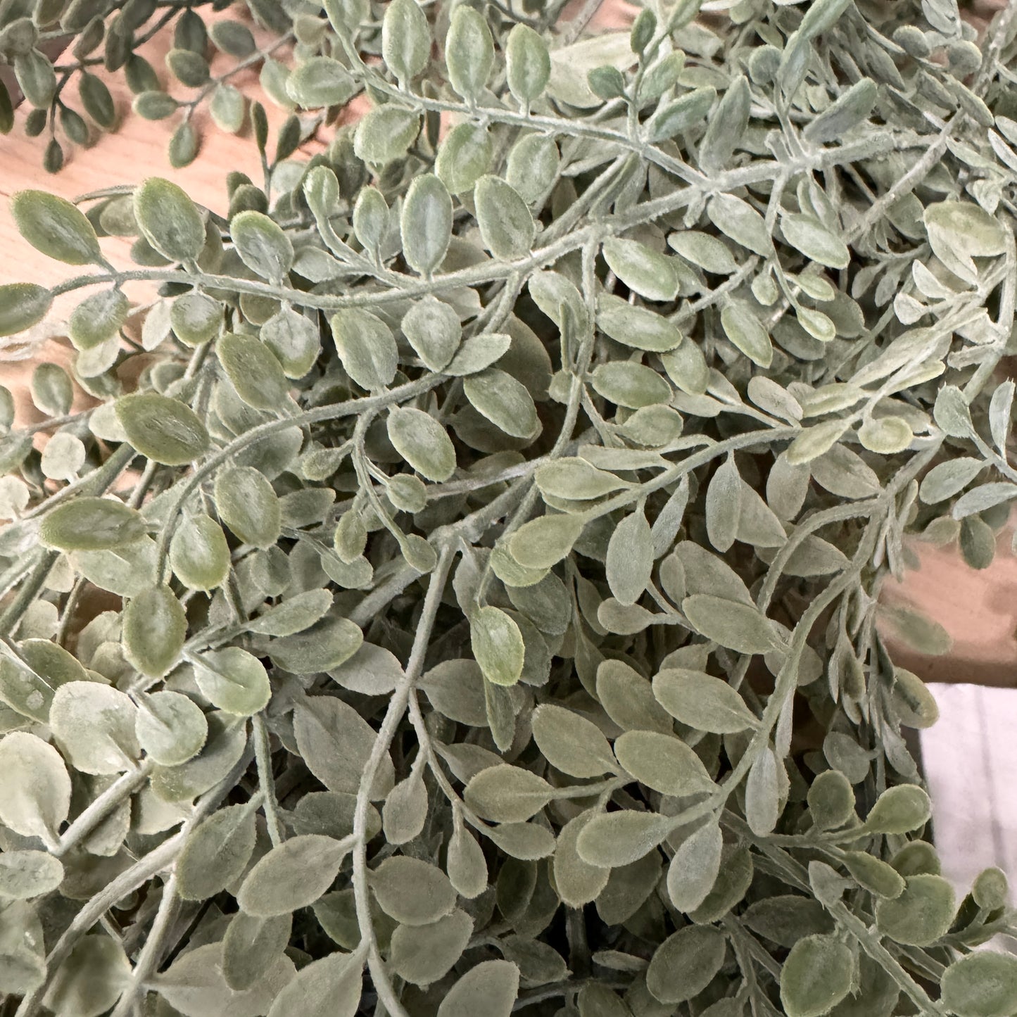 Hanging Bush