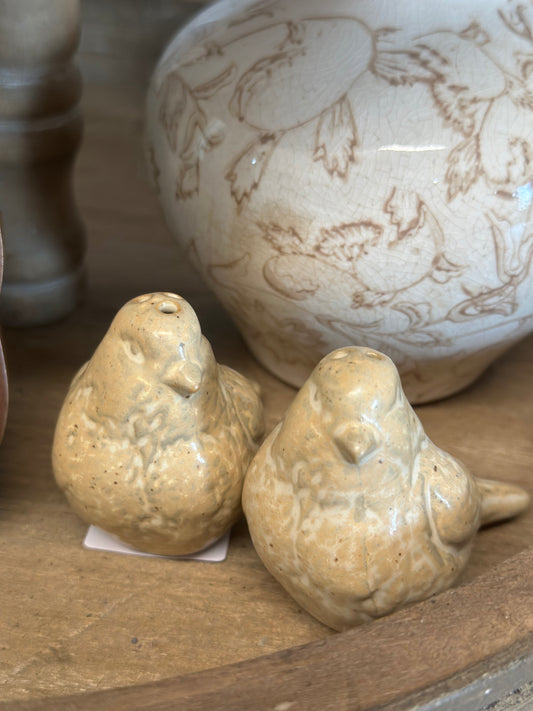 Bird Salt & pepper Shaker