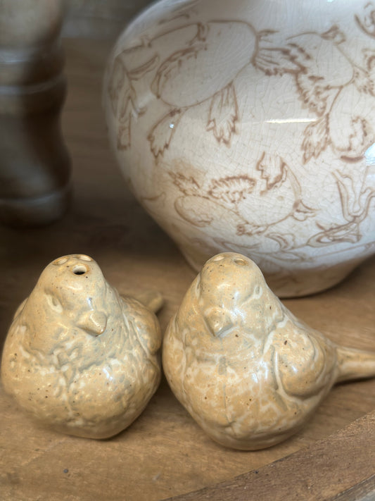 Bird Salt & pepper Shaker