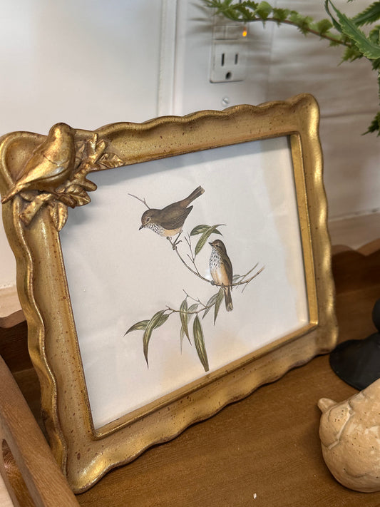 Gold Bird Frame