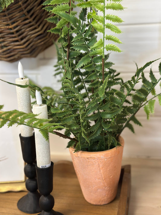 Potted Faux Fern