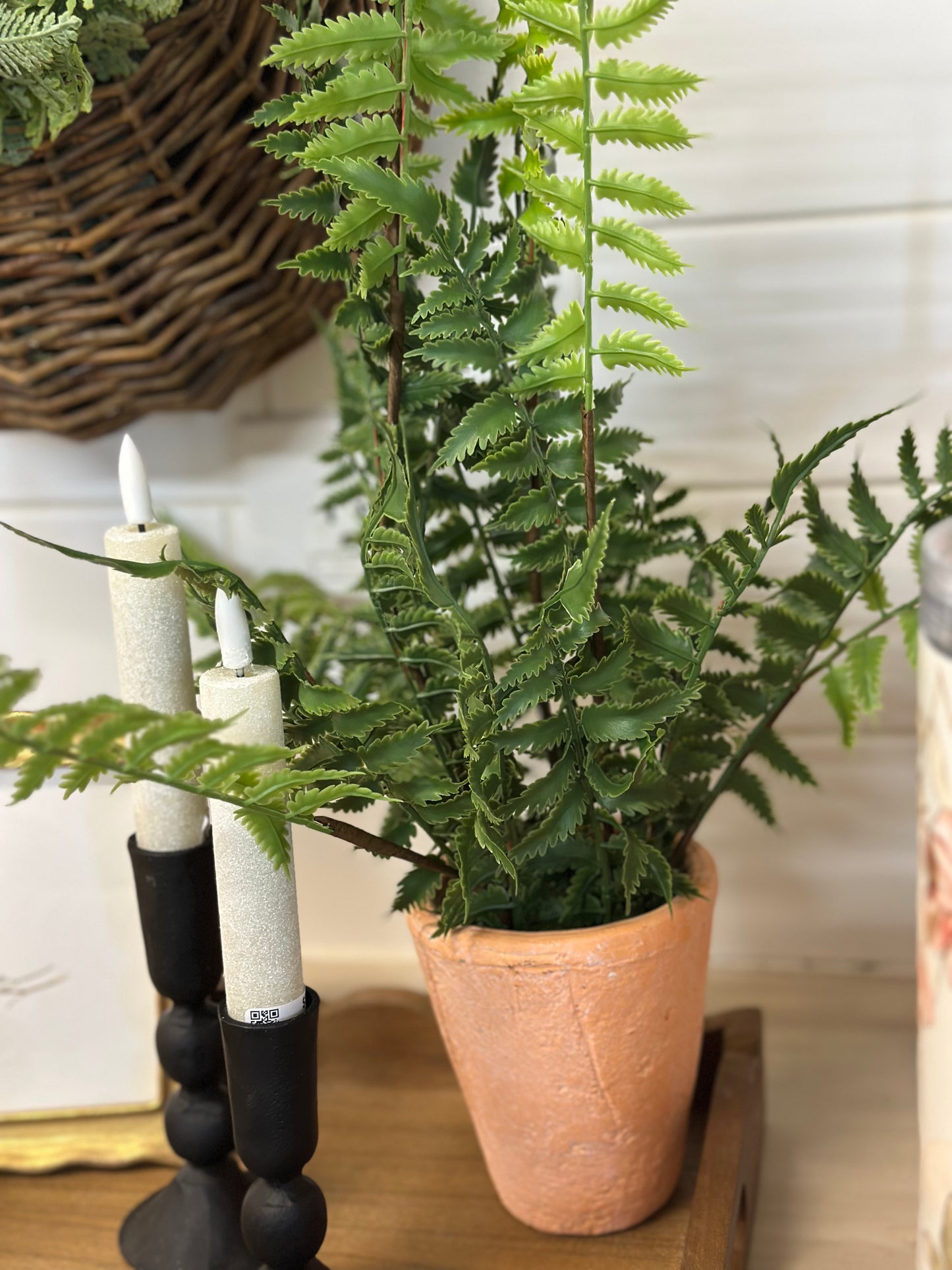 Potted Faux Fern