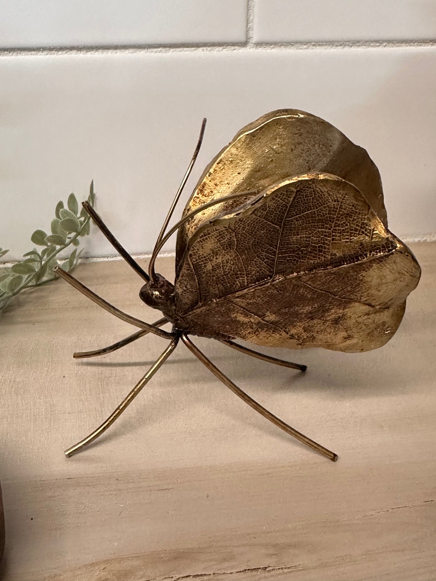 BRONZE/GOLD Color  Butterfly Sitter